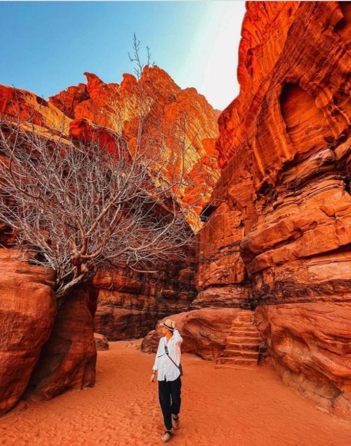 Moon City With Jeep Trips Wadi Rum Exterior foto